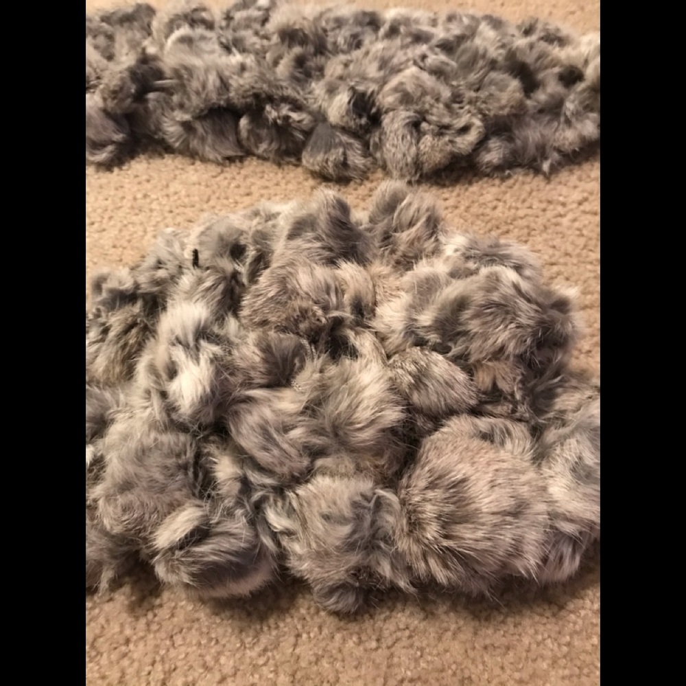 🐰FUR🐰 - Picture 2 of 6
